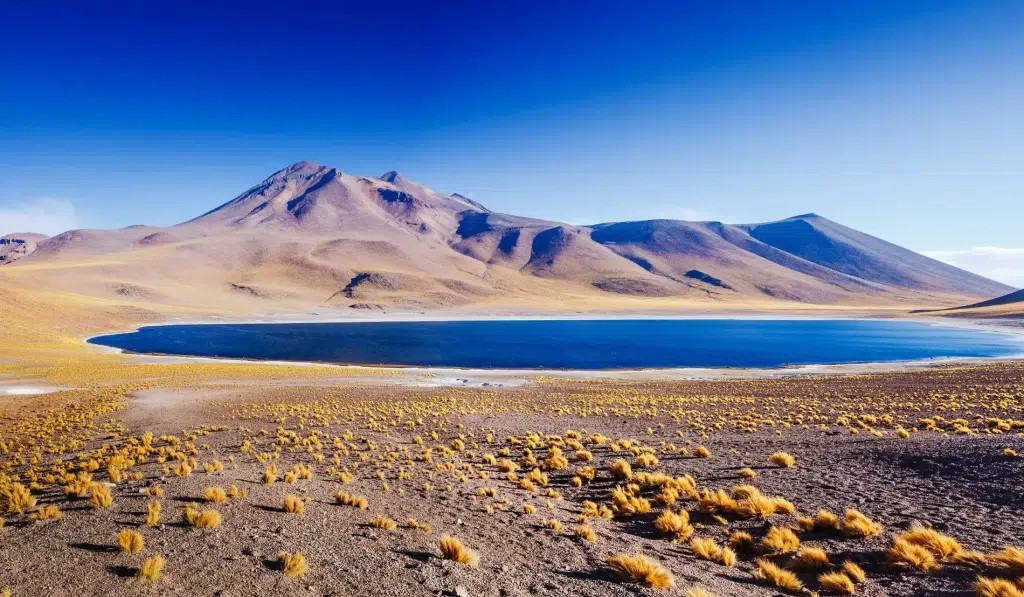 Imagen del desierto de Atacama